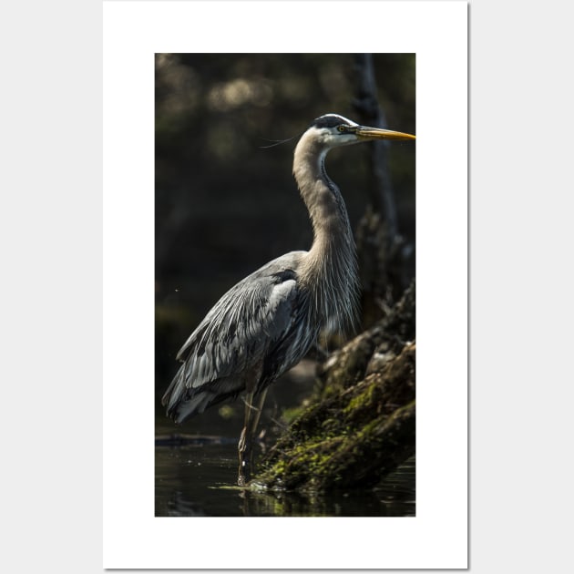 Blue Heron Wall Art by jaydee1400